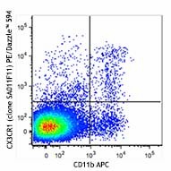 PE/Dazzle™ 594 anti-mouse CX3CR1 Antibody (149013)