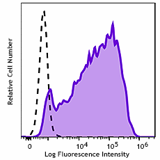 PE/Fire™ 640 anti-human CD71 Antibody (334141)