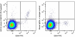 PE/Cyanine7 anti-human CD133 Antibody (393909)