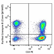 Purified anti-human/mouse Granzyme B Recombinant Antibody (372202)