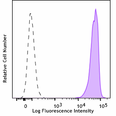 Alexa Fluor® 647 anti-Puromycin Antibody (381507)