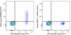 FITC anti-human CD24 Antibody (382607)