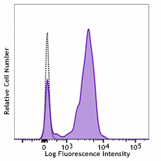 PE anti-human CD64 Antibody (399603)