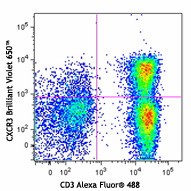 Brilliant Violet 650™ anti-human CD183 (CXCR3) Antibody (353729)