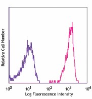 APC anti-mouse H-2Kd Antibody (116619)