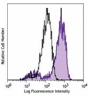 Purified anti-human CD163 Antibody (326502)