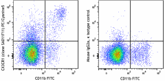 PE/Cyanine5 anti-mouse CX3CR1 Antibody (149049)