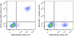 PE/Fire™ 640 anti-human CD19 Antibody (363051)