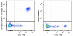 StarBright UltraViolet 575 anti-human CD19 Antibody (302299)