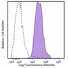 PE/Cyanine7 anti-mouse CD98 (4F2) Antibody (128213)