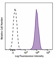 PE anti-ERK1/2 Phospho (Thr202/Tyr204) Antibody (369505)