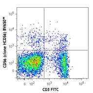 Brilliant Violet 650™ anti-human CD56 (NCAM) Antibody (318343)