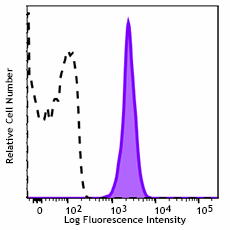 Brilliant Violet 750™ anti-mouse CD45.2 Antibody (109857)