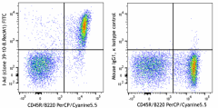 FITC anti-mouse I-Ad Recombinant Antibody (166903)