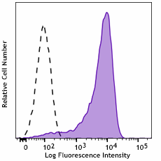 FITC anti-mouse CD13 Recombinant Antibody (164009)