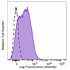 PE anti-human CD107a (LAMP-1) Antibody (301107)