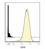 Purified anti-human CD10 (Maxpar® Ready) Antibody (312223)