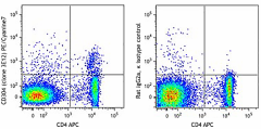 PE/Cyanine7 anti-mouse CD304 (Neuropilin-1) Antibody (145211)