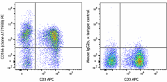 PE anti-human CD166 Antibody (381903)