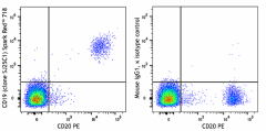 Spark Red™ 718 anti-human CD19 Antibody (363053)