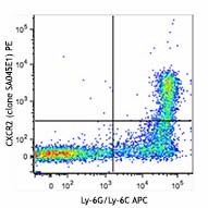 PE anti-mouse CD182 (CXCR2) Antibody (149609)