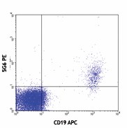 PE anti-human Siglec-10 Antibody (347603)