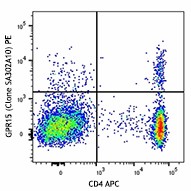PE anti-human GPR15 Antibody (373003)