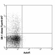Alexa Fluor® 647 anti-rat IFN-γ Antibody (507809)