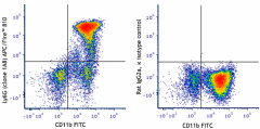 APC/Fire™ 810 anti-mouse Ly-6G Antibody (127669)