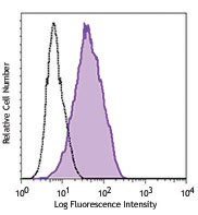 Purified anti-human Cadherin 11 Antibody (368702)