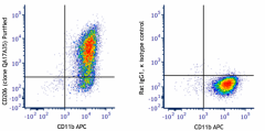 Purified anti-mouse CD206 (MMR) Recombinant Antibody (162502)