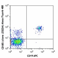 Alexa Fluor® 488 anti-human CD185 (CXCR5) Antibody (356911)