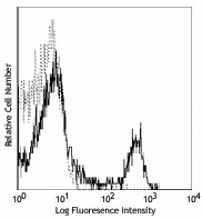 Alexa Fluor® 488 anti-mouse CD8a Antibody (100726)