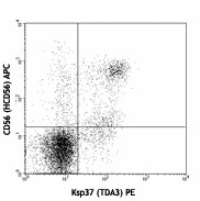 PE anti-human Ksp37 (FGFBP2) Antibody (346603)