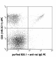 Purified anti-mouse TCR Vα2 Antibody (127802)