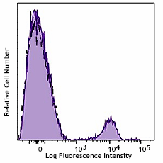 APC anti-human CD56 (985906)