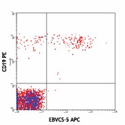 APC anti-human CD23 Antibody (338513)