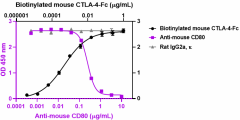 Ultra-LEAF™ Purified anti-mouse CD80 Antibody (600053)