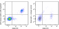 APC/Cyanine7 anti-human CD19 Antibody (363009)