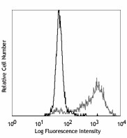 Purified anti-human CD143 (Angiotensin-converting enzyme) Antibody (344202)