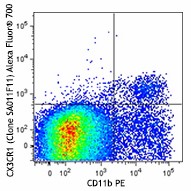 Alexa Fluor® 700 anti-mouse CX3CR1 Antibody (149035)