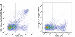 PE/Cyanine7 anti-mouse/rat XCR1 Recombinant Antibody (109411)