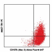 PE anti-mouse IL-27 p28 Antibody (516908)