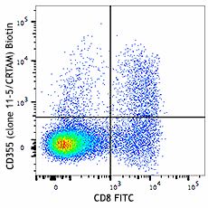 Biotin anti-mouse CD355 (CRTAM) Antibody (142012)