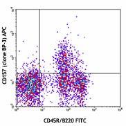 APC anti-mouse CD157 (BST-1) Antibody (140207)