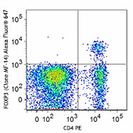 Alexa Fluor® 647 anti-mouse FOXP3 Antibody (126407)