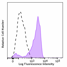 Pacific Blue™ anti-human CD206 (MMR) Antibody (321151)