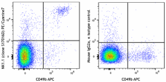 PE/Cyanine7 anti-mouse NK-1.1 Antibody (156513)