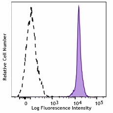 Pacific Blue™ anti-rat CD45 Antibody (202225)