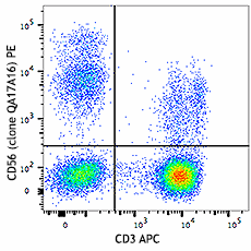 PE anti-human CD56 (NCAM) Recombinant Antibody (392403)